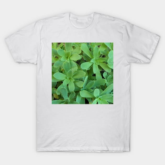 Sedum Palmeri Leaves T-Shirt by DesignMore21